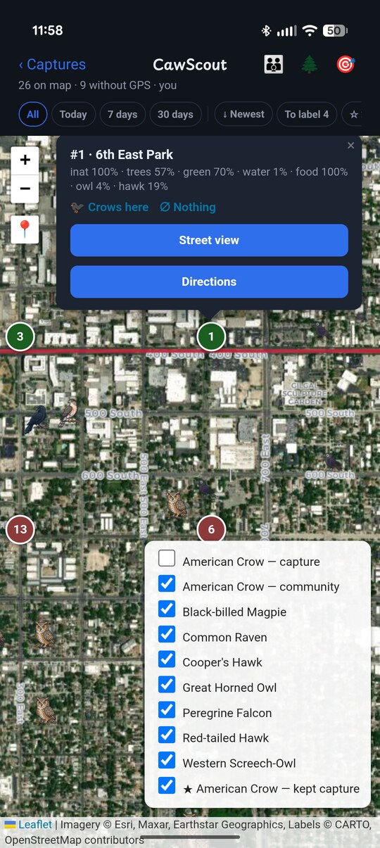 The CawScout map over satellite imagery of Salt Lake City: numbered green and red target pins, owl and hawk icons, a popup scoring 6th East Park with street view and directions buttons, and a species filter listing crows, magpies, ravens, hawks, owls and falcons