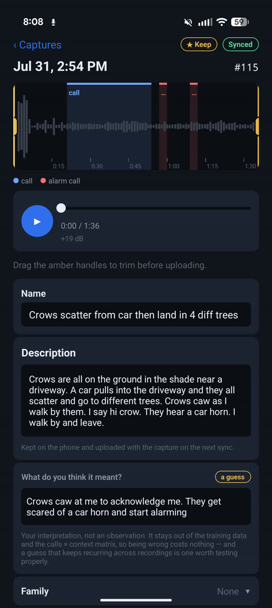 A capture describing crows scattering from a car, with a separate guess field about what it meant