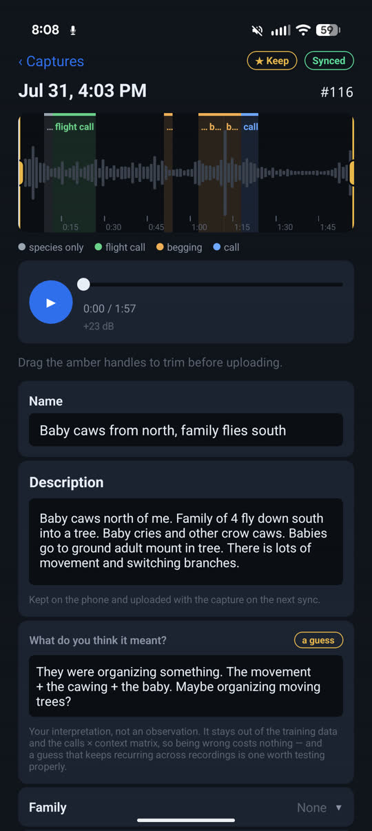 A capture's waveform with colored spans labeled flight call, begging and call