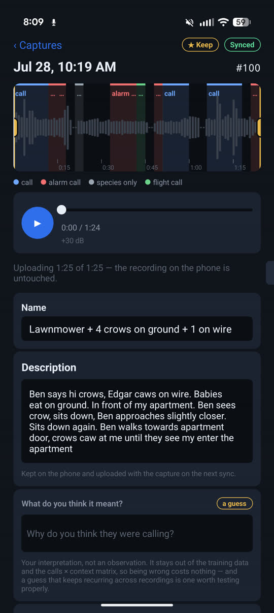 A capture named lawnmower plus four crows on ground, with a written description of the scene