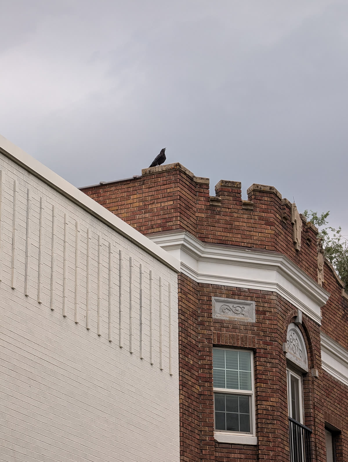 A crow calling from the parapet of a brick building against a gray sky