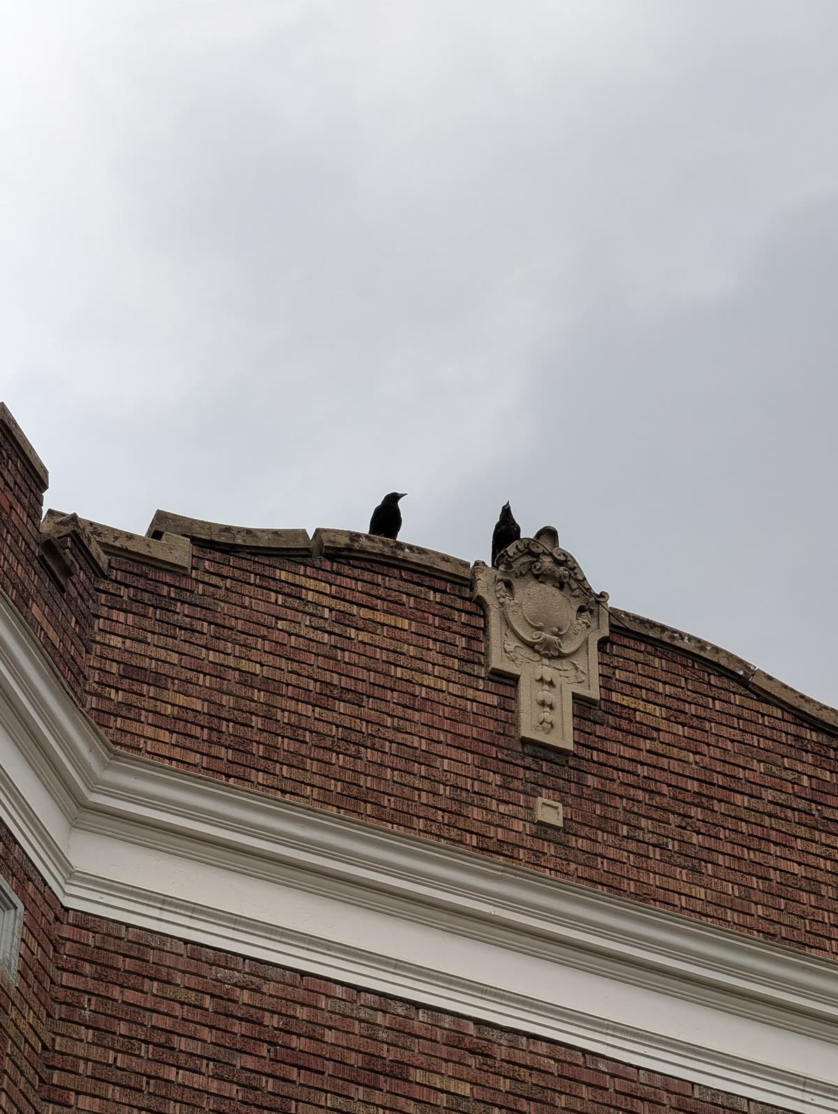 Two crows perched on the ornamented roofline of a brick building